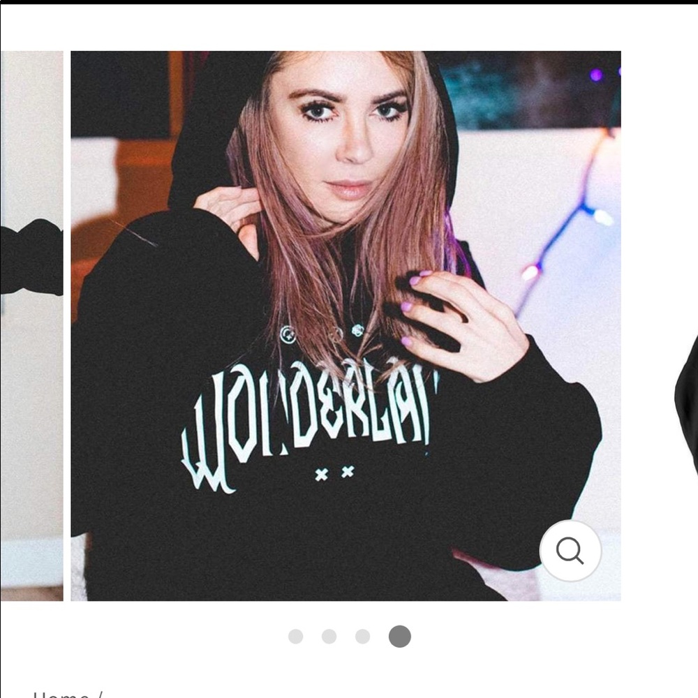 SOLD Alison Wonderland Electric Family Hoodie